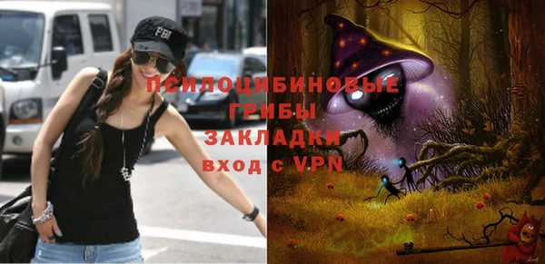 хмурый Гусиноозёрск