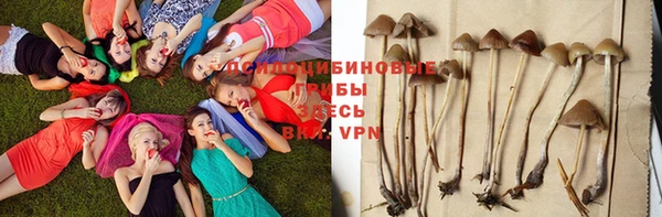 каннабис Гусь-Хрустальный